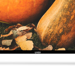FRAMELESS TV 65 Inch SMART 4K - Uvea India