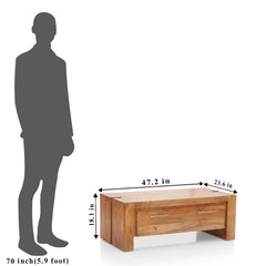 Coffee Table Wooden  — TROY (C)